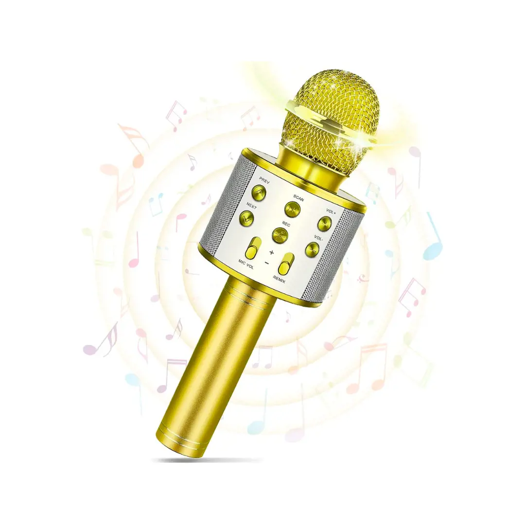 Karaoke Wireless Microphone