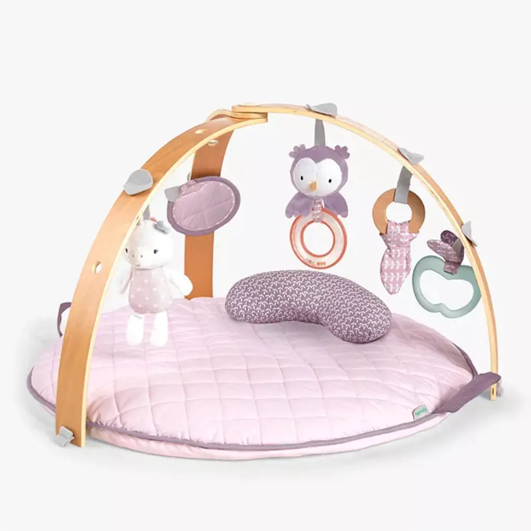 Ingenuity Cozy Spot Reversible Activity Gym