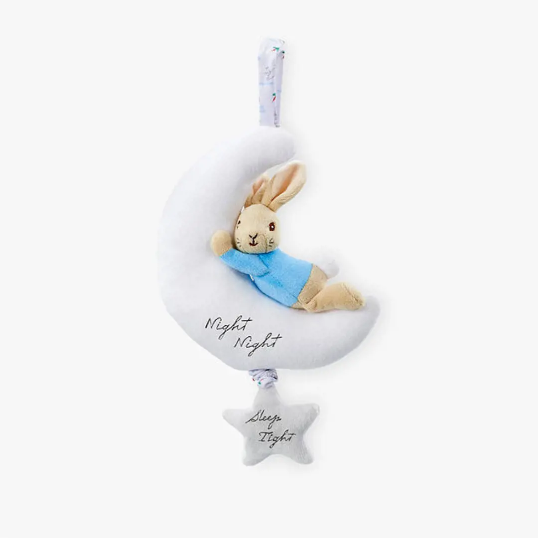 Peter Rabbit Night Night Musical