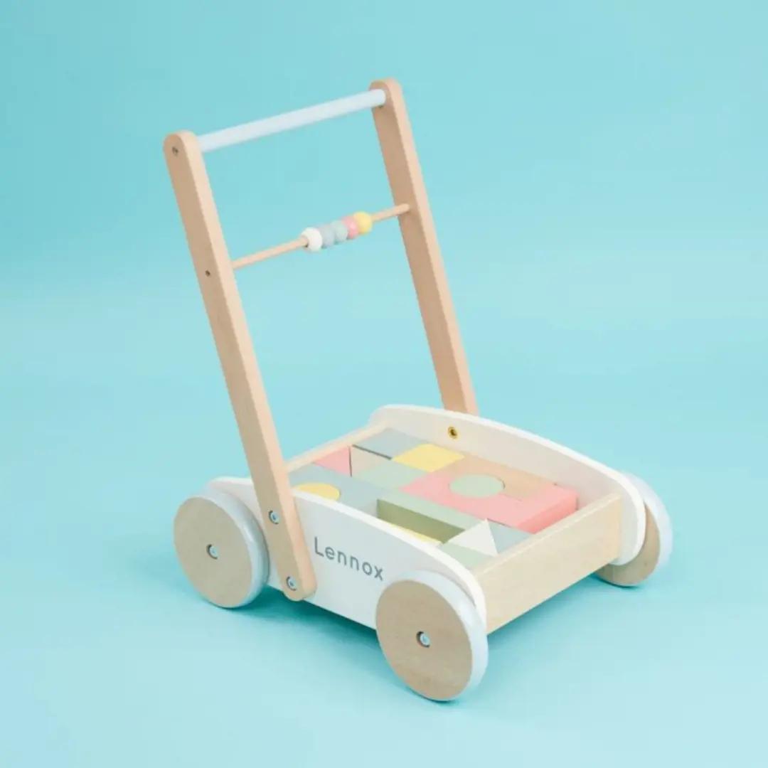 Personalised Push-Along Activity Walker With Blocks